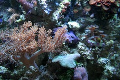 Killikus&reg; Fotographie